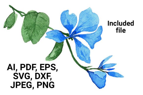 Download Watercolor Floral Elements Set - Watercolor floral elements Collection