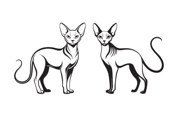 Download Sphynx Cat Line Art Silhouette Bundle. - Silhouette Collection