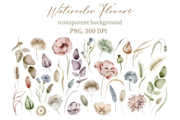 Download Delicate Watercolor Floral Elements, PNG - Watercolor floral elements Collection