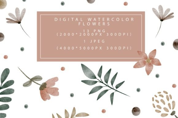 Download Collection of Watercolor Floral Elements - Watercolor floral elements Collection