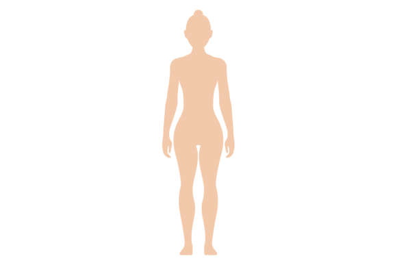 Download Female Figure. Color Human Silhouette. W - Silhouette Collection