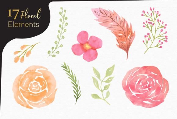 Download Watercolor Floral Elements - Watercolor floral elements Collection